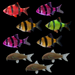 Juego de púas GloFish® (9 unidades)