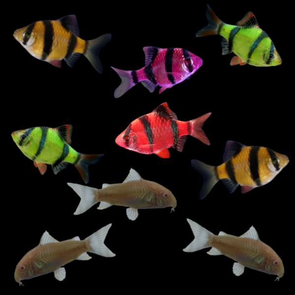 GloFish® 20G Barb Set (9ct)