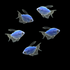Cosmic Blue Long-Fin Tetra 5pk