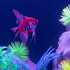 GloFish® Patterned Starfire Red® Angelfish (1 ct)