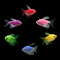 GloFish Long-Fin Skirt Mixed Tetra Set