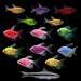 GloFish® Shimmer Splash Pack (14ct)