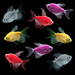 GloFish® Long-Fin Leafy Collection (8 ct)