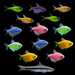 GloFish® Show Stopping Set (14ct)