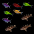 GloFish® Pristella Community (9ct)