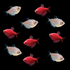 GloFish® Rudolph Collection (10ct)