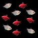GloFish® Rudolph Collection (10ct)
