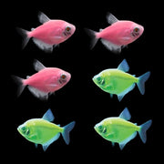 GloFish® Skirt Tetra Tulip Set (6ct)