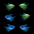 GloFish® XL Tropical Tide Collection