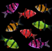 GloFish® Tiger Barb Deluxe Set (8ct)