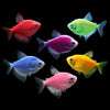 Tetra Basic Collection