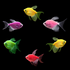GloFish Long-Fin Skirt Mixed Tetra Set Two Orange
