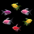 GloFish Long-Fin Skirt Mixed Tetra Set Two Pink