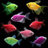 Tetra Deluxe Collection