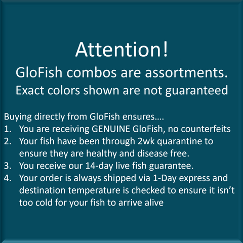 Direct GloFish Purchase